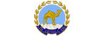 Embassy of Eritrea in Doha, Qatar designed by Dream Web Development